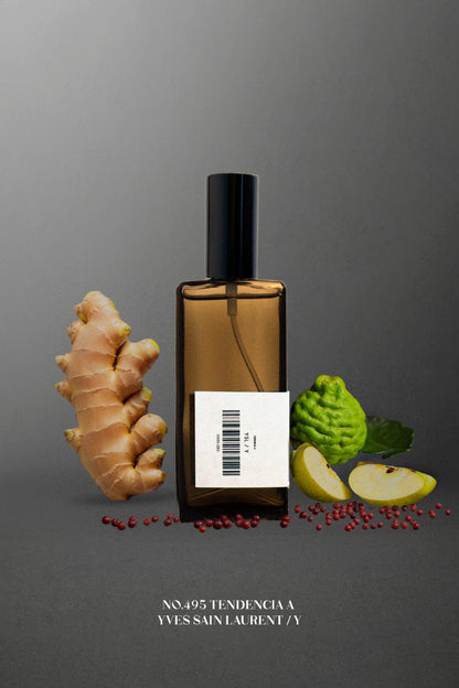 No.495 Tendencia a Yves Sain Laurent / Y